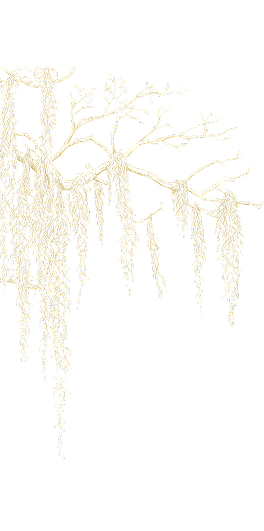 Moss