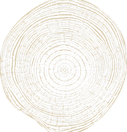 Oak Image
